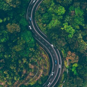 Aerial View of Road in the Middle of Trees